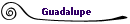 Guadalupe