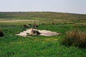 Fuente del Somo