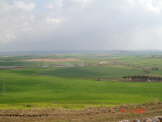 Le champ de bataille