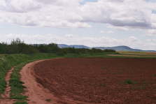 Le rio Ciguela cach� dans les tamaris
