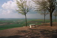 Vue