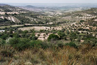 entre Colmenar et Chinchon