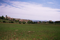 EL OLIVAR