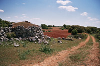 La campagne près d'Alocen