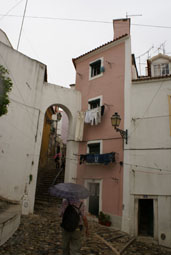 ALFAMA 1