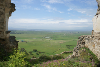 CAMPO ARANUELO