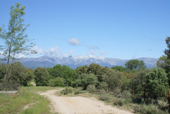 CORDEL DEL MADRONO