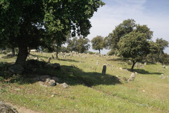 Cimetière musulman