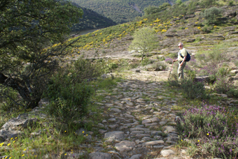 LE VIEUX CHEMIN DE VILLAREAL