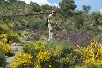 LE VIEUX CHEMIN DE VILLAREAL 2