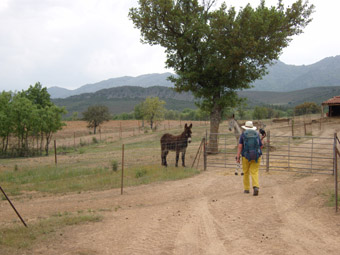 Le vallon de las Lucias