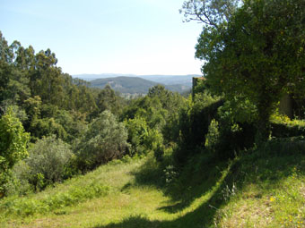 vue de vendas