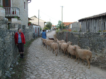 VILLAGE DE VAL FLORIDO