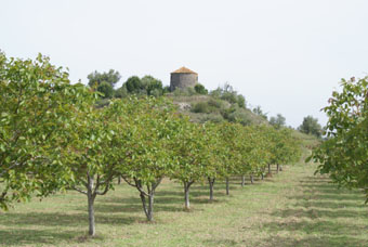 MOULIN A VENT