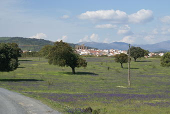 MALPARTIDA DE PLASENCIA