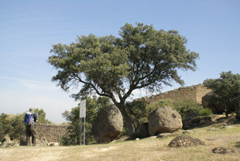 Murailles de Cuidad de Vascos