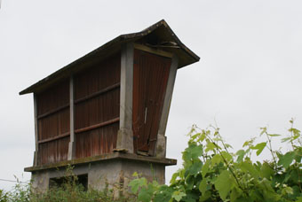 Silo à maïs