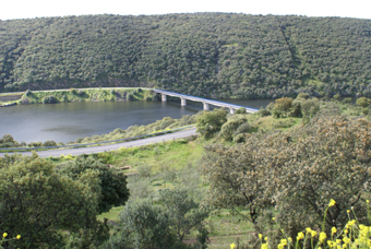 PONT SUR LE TAGE