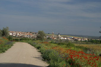 Puente del Arzobispo