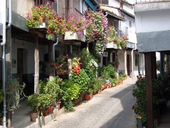 Ruelles de Guadalupe