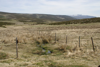 SOURCE DU RIO ALBERCHE