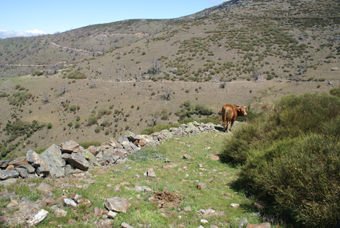 UN OBSTACLE SUR LE CHEMIN