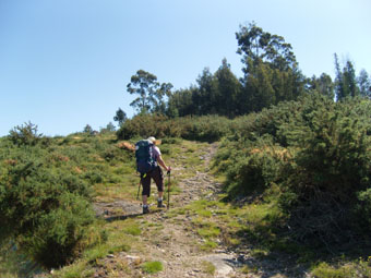 Le chemin