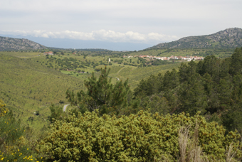 VALDECANAS DE TAJO