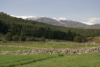 VALLEE DU RIO TORMES 2