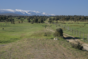 VIA DE LA PLATA 2