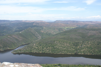 VUE DU SOMMET