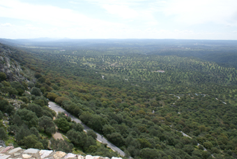 VUE DU SOMMET 3