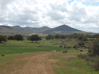 VUE SUR LES VILLUERCAS