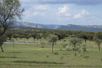 VUE SUR LE SAUT DU GITAN