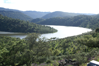 VUE DU MIRADOR SUR LE TAGE