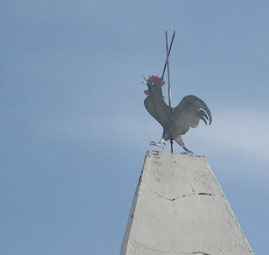 LE COQ DU CLOCHER