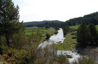 VALLEE DU RIO TORMES 3