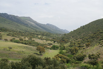 dernier regard sur la sierra de Altamira