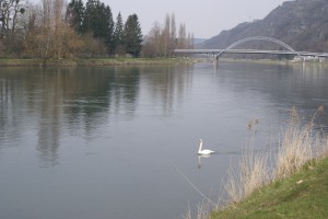 La Meuse à Chooz