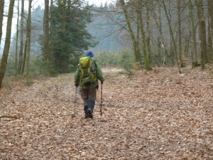 En forêt