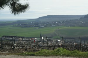 Vue sur le vignoble et les villages