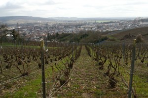 Vue sur Epernay