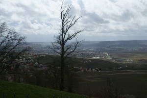 Belle vue sur la vallée de la Marne et Epernay