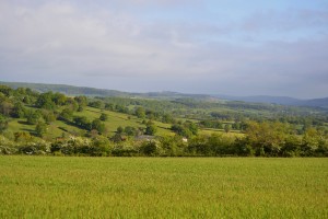 Encore une vue sur Vezelay