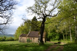 Une chapelle dans les bois