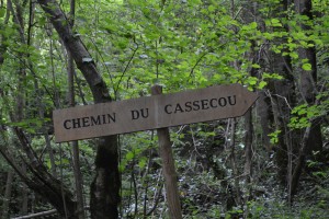 Chemin casse cou