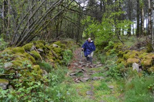 Le chemin coupe à travers bois