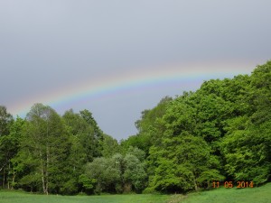 Arc en ciel