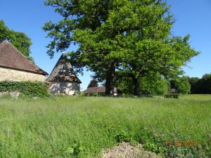 Vezelay 2014 (1901)