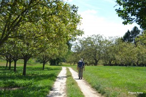 Vezelay 2014 (2071)